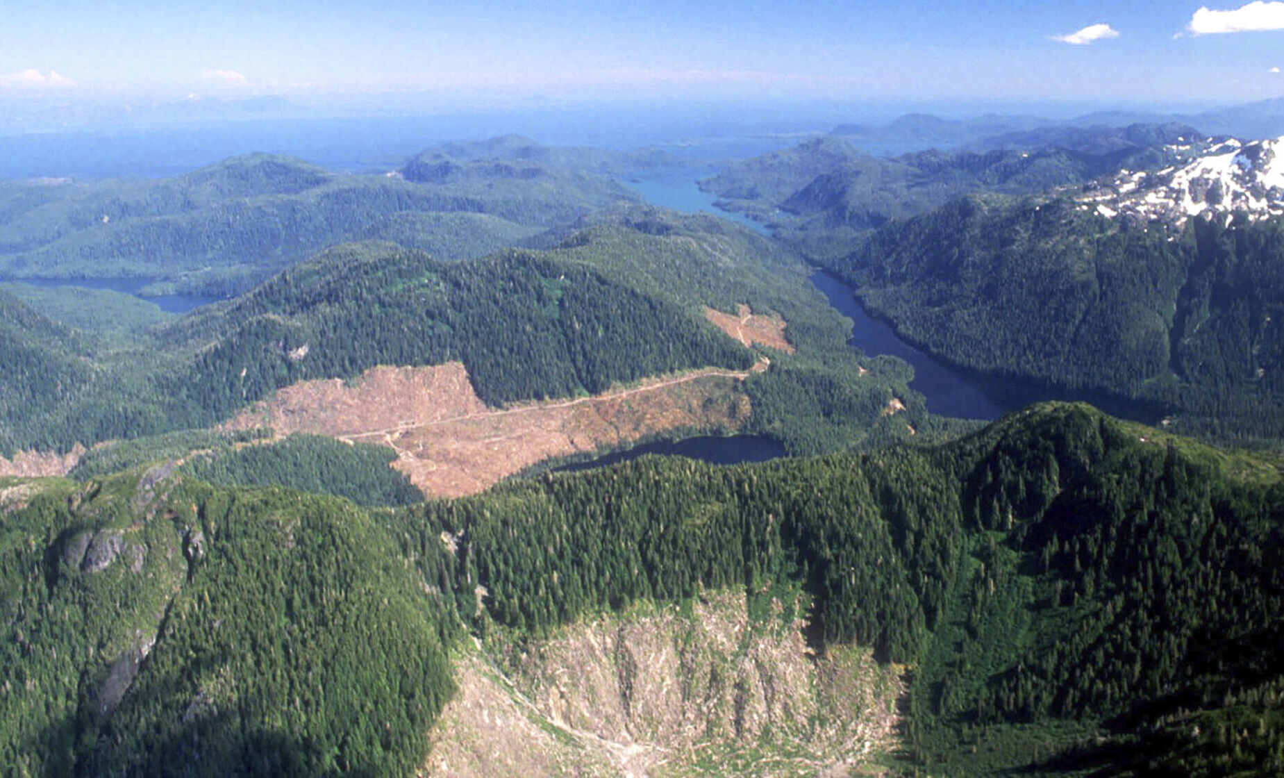 Tongass National Forest in Alaska